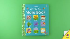 Usborne - Lift the Flap Basic Series