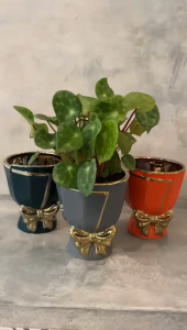 Large Nordic minimalist luxury flowerpot creative and unique flower bouquet ceramic greenery planter pot