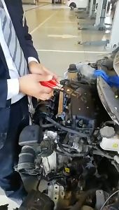 Kìm tháo quai nhê mũi cong