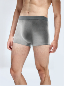 Briars | Disposable Mens Boxer Briefs Travel Wear