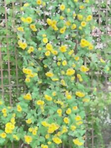High Simulation Fake Flowers for Interior Decoration