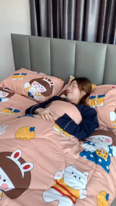 Dreamy ชุดผ้าปูที่นอนลายการ์ตูน – ผ้านุ่ม ระบายอากาศ กันไรฝุ่น  3.5/5/6 ฟุต พร้อมปลอกหมอน และปลอกข้าง (มีให้เลือก)