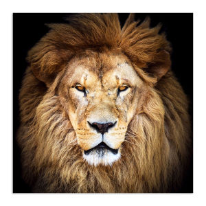 Modern Simplified Tiger Lion Decorative Painting Wild Beasts Animals Wall Hanging Art Office Corridor Passage Hallway Decor