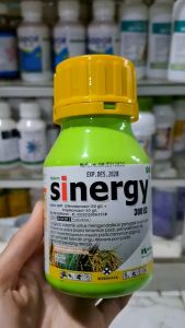 SINERGY 300 EC FUNGISIDA PENGENDALI PENYAKIT + ZPT // SINERGI FUNGISIDA