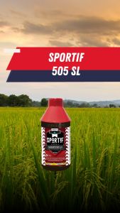 Insektisida Pestisida – Mahakam Sportif 505 SL 1 Liter - Pembasmi Hama Penyakit Tanaman Padi