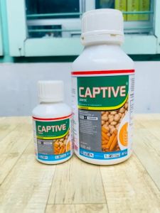 Fungisida CAPTIVE 200SC dari Agricon: Solusi Fungisida Aman & Efektif
