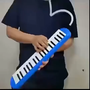 Kèn Melodion MELODICA 32 Phím Kèm Túi Đựng Ống Thổi Dài Ngắn Dễ Học Cho Học Sinh Giáo Viên