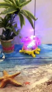 Đồ chơi Bọ Cánh cam Bọ Rùa nhiều màu có nhạc và đèn cho bé