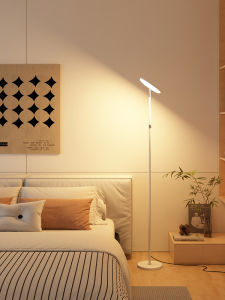 BAISHIDENG | Ultra Bright Supplemental Floor Lamp