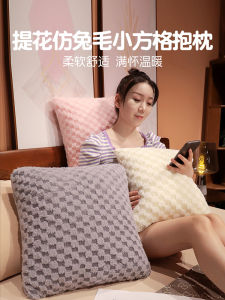Pure Color Couch Pillow Core Included Bedroom Sofa Pillow Womens Bed Pillow Modern Simple Style Square Shape Home Decor