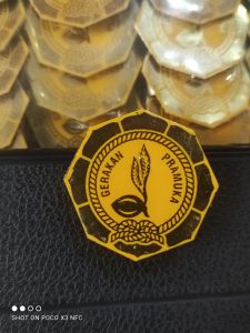 Ring kacu kuning ring hasduk Pramuka segi delapan