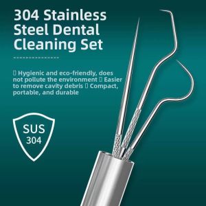CMGF | Stainless Steel Toothpick for Portable Use with Dental Picking and Cleaning Functions