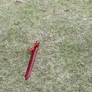 6Pcs Canopy Tent Pegs Aluminum Alloy Outdoor Garden Stakes Ground Nail With Cord For Camping Backpacking Hiking Tent Accessories
