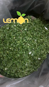 [100g-500g] Hành lá sấy lạnh loại 1 giữ nguyên màu sắc hương vị - Hành lá khô dùng chế biến sản xuất thực phẩm