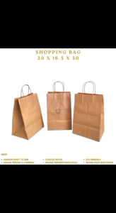Paper Bag Kraft 20X16.5X30 Kantong Kertas Goodie Bag (Isi 1 Pcs--SBG9)