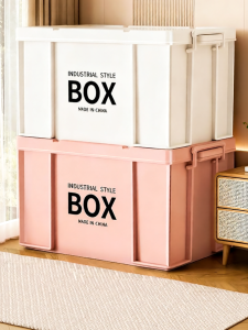 Multi-functional Large Capacity Storage Box
