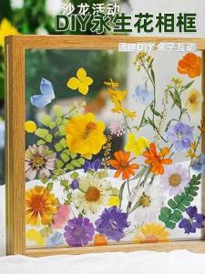 Khung Ảnh Thủ Công DIY Bằng Nhựa Acrylic Trong Suốt Khung Tranh Hoa Khô Mẫu Vật Lá Cây Thực Vật Khung Kính