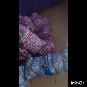 Bawang Putih Kating 1kg Bawang Pilihan Bawang Putih