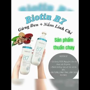 Dầu Gội Xả Chiết Xuất Gừng Nấm Linh Chi Visiami Biotin & Collagen B7 (780ml x 2) Chính Hãng