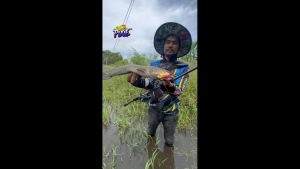 กบยาง เบ็ดทางเดียว PIXIE พิกซี่ โอ้ต USA ขนาด 4 ซม. น้ำหนัก 8 กรัม เบ็ด 1 ทาง แข็งคมจัด มีให้เลือก 7 สี