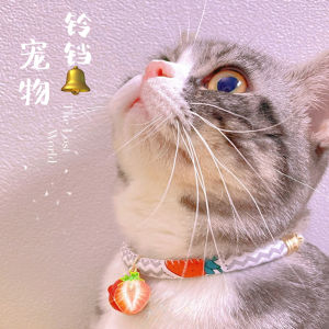 Dây Chuyền Chuông Đỏ Dâu Tây Cho Chó Mèo Mùa Lễ Hội Giáng Sinh Và Năm Mới Phụ Kiện Du Lịch Cho Chó Mèo Thương Hiệu Papa Cat