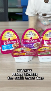 【Pet Mates】Wellness Complete Health - Petite Entrées - Small Breed Dog Wet Food 3oz (85g)