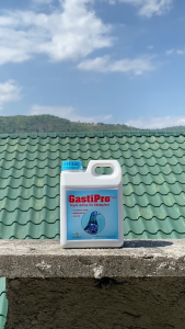 GastiPro Triple Action Supplement for Racing Pigeons – 500ml / 1L / 1 Gallon