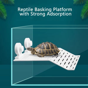 Turtle Basking Drying Resting Sun Platform Mat Dock Climbing Ladder for Amphibians and Reptiles Turtle Land Island Habitat