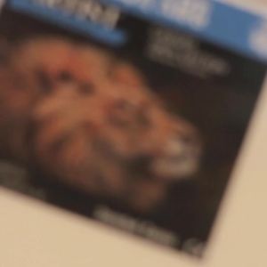 KANVAS LUKIS 20 X 40 CM / CANVAS LUKIS FRAME 20 X 40CM - SIAP PAKAI