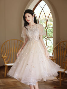 Student Evening Dress Female Adult Ceremony Light Luxury Minority Banquet Art Exam Classy Host Fancy Graduation Princess Dress