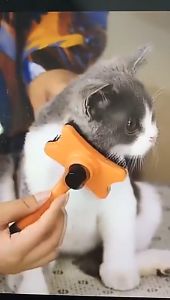 PET DIARY Sisir Bulu Kucing Perontok Peralatan Grooming Anjing Otomatis Memijat Kecantikan Bulu
