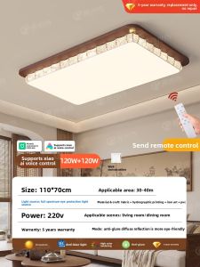 PAIMIJI | Mid-century Style Simple Small Ceiling Light