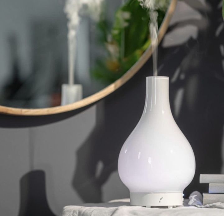 Lucia Artisan Diffuser Young Living Ultrasonic Humidifier With Led