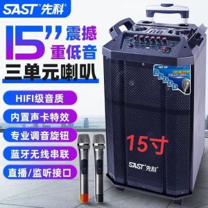 SAST 15-Inch New Arrival Square Dance Audio High-Power Stage Wireless Karaoke Pull Rod Convenient Movable Bluetooth Speaker