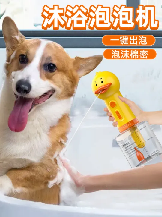 Foaming Dispenser