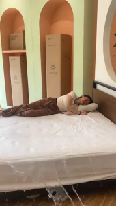 Zinus Waterproof Mattress Protector Pelindung Kasur Tencel Cover