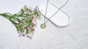 Bandai | Expedition 33 Clair Obscur Vintage Coin Necklace Pendant Amulet Choker for Women And Men Accessories