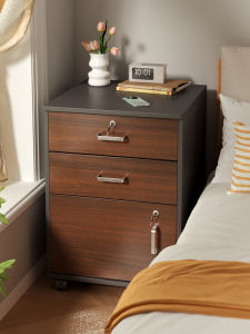 Modern Simple Lockable Storage Cabinet