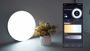 24W 30cm LED Ceiling Light for Room at Night Tuya WIFI Smart Ceiling Lamp Works with Alexa Google Home
