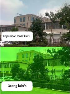 Bộ Lọc Ánh Sáng Tắc Kè Hoa Màu Xanh Lá Cây Cho Mặt Nạ Hàn Martex Mũ Bảo Hiểm Hàn Tự Động Làm Tối Màu Với Diện Tích Quan Sát 92 * 31mm