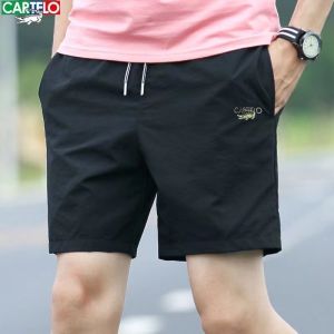 Elegant Embroidered Mens Shorts Summer Loose Straight Leg Casual Outdoor Wear Thin Sport Beach Pants Fashionable City Style
