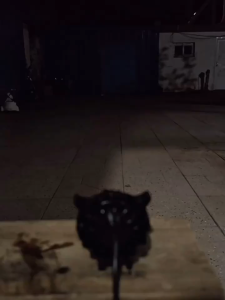 ไฟสปอตไลท์นกฮูก 2ชิ้น นกฮูก LED สปอร์ตไลท์มอเตอร์ไซค์ ไฟหน้า led มอไซค์ ไฟสปอตไลท์มอไซ ไฟสองส แพ็ค ไลท์มอเตอร์ไซค์ ไฟสปอร์ตไลท์มอเตอร์ไซค์ ไฟมอเตอร์ไซค์ สปอตไลท์สองสี ไฟledมอเตอร์ไซค์ สปอตไลท์รถมอไซ led