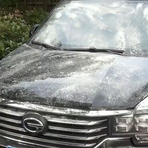 Extendable Handle Duster & Microfiber Car Duster: A Multipurpose Cleaning Solution