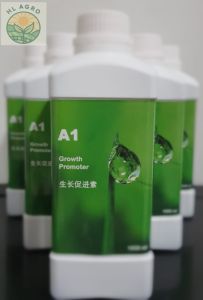 A1 Growth Promoter 1L 植物生长促进素🌱Rich in plant-based Amino Acid 富含植物性氨基酸 天然抗压剂