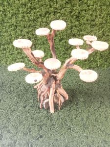 bonsai aquascape akar rasamala tinggi 20-25cm MURAH