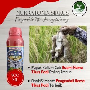 COD MURAH NURRATONIX SIRKUS 500ML Obat Semprot Pembasmi Hama Tikus Padi Terbaik - Obat Tikus Padi Paling Ampuh - Obat PengendaliTikus dan Burung sawah manjur BERKUALITAS 100%