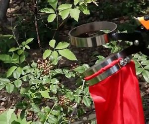 Vợt hái hạt tiêu thông minh có túi để tiện dụng kèm 2 lưỡi dự phòng