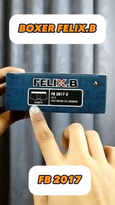 Celana Boxer Pria Felix.B FB 2017 ISI-2 PCS