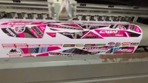 Suzuki Smash 115  /110 Gas tank Decal Stickers gold anchor