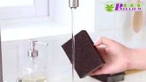 ฟองน้ำขจัดคราบหนัก ถูกที่สุด ขจัดคราบสนิมได้หมดจ